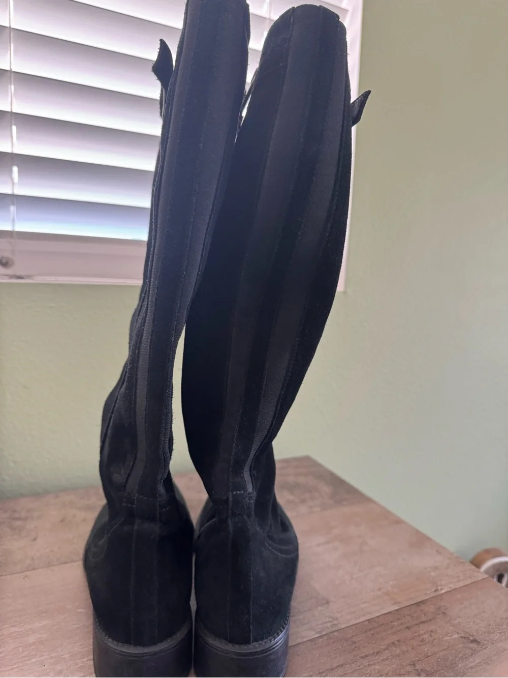 Aquatalia weatherproof Classic Women's Tall Black Suede Boots